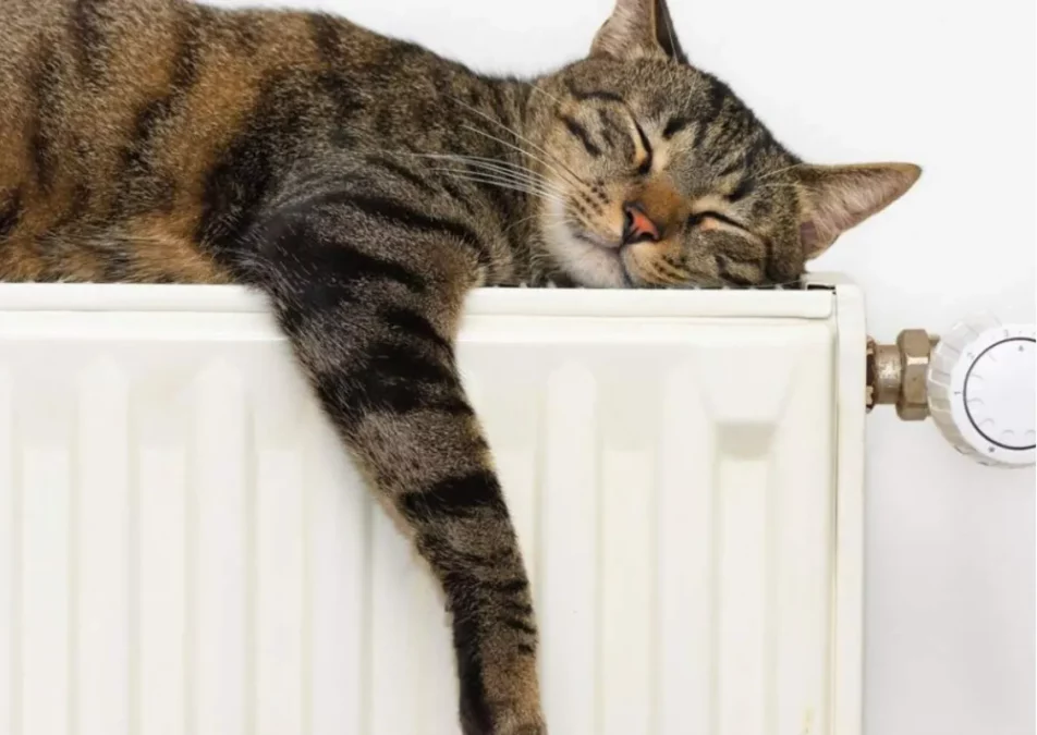 У Дніпрі офіційно завершують опалювальний сезон