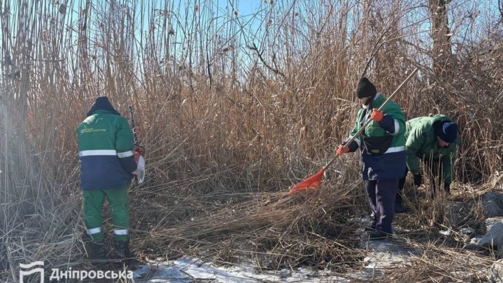 Сезонні роботи у сквері Прибережний у Дніпрі