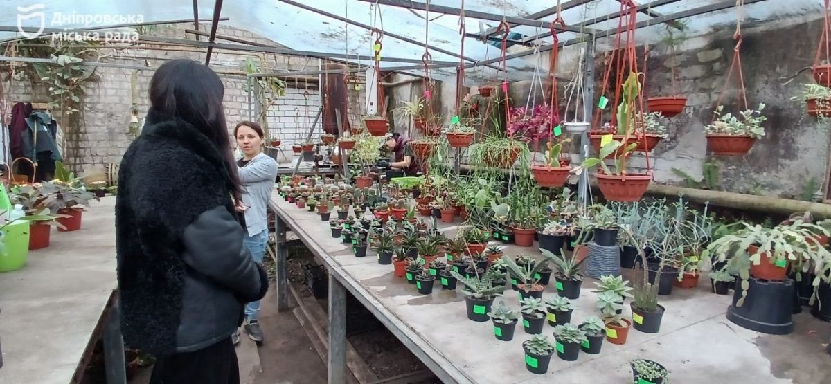 У Дніпрі закликають мешканців бути відповідальними та не купувати первоцвіти