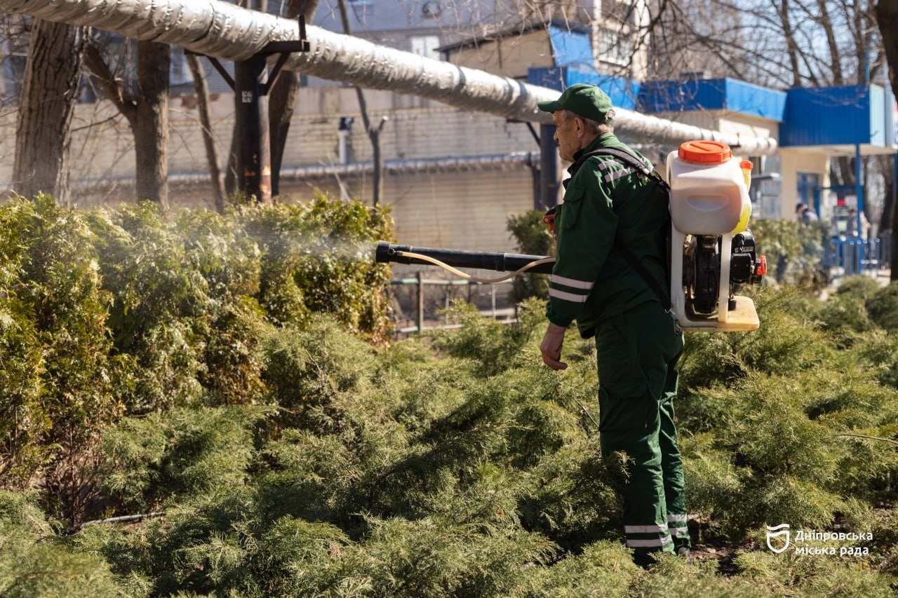 У Дніпрі у парку Писаржевського тривають роботи з догляду за газонами та деревами - 11.03.2026