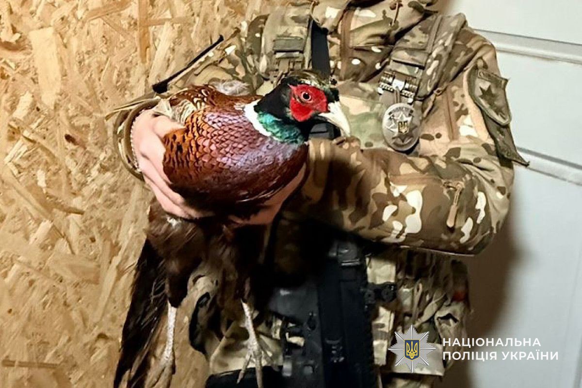 У Нікопольському районі поліцейські врятували дикого птаха, який заплутався в сітці - 02.03.2026