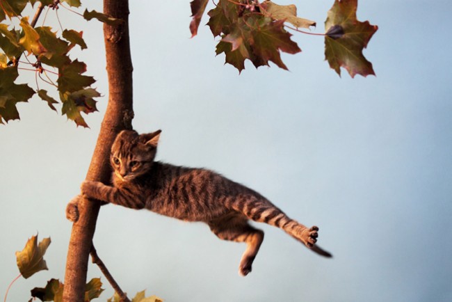 У Дніпрі та області оголосили жовтий рівень небезпеки через сильний вітер - 15.03.2026