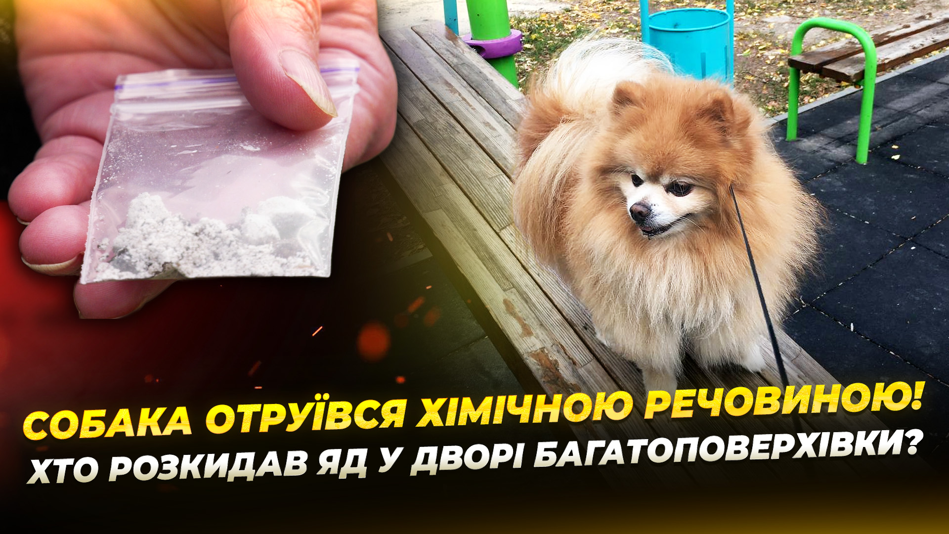 На житломасиві Сокіл жителі багатоповерхівки помітили на подвір’ї речовину, схожу на яд - 01.04.2026