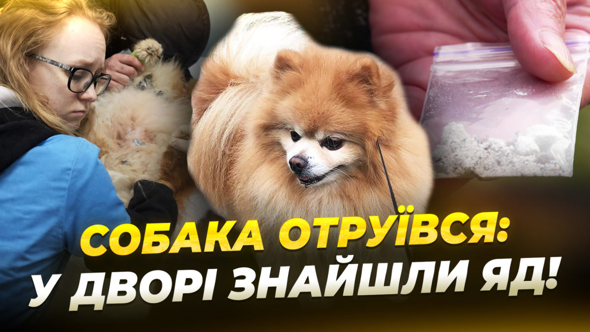 На житломасиві Сокіл жителі багатоповерхівки помітили на подвір’ї речовину, схожу на яд - 01.04.2026