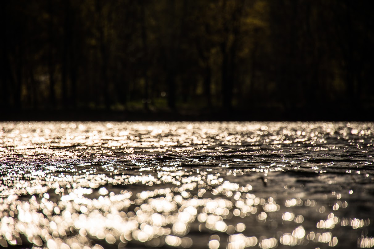 На Дніпропетровщині готуватимуть місця для відпочинку на водоймах - 17.04.2026