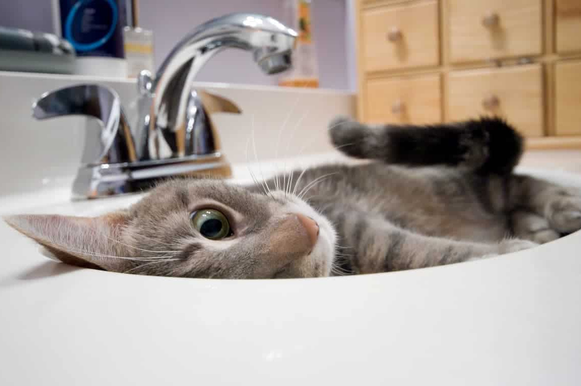 Борг понад 6,3 млн грн: у Дніпрі обмежать водопостачання на десятках адрес - 12.04.2026