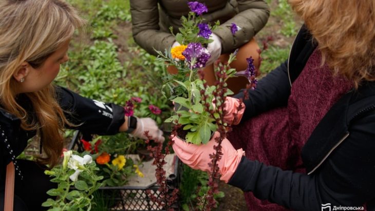 Толоки у Дніпрі: мешканці прибирають двори та висаджують сотні рослин