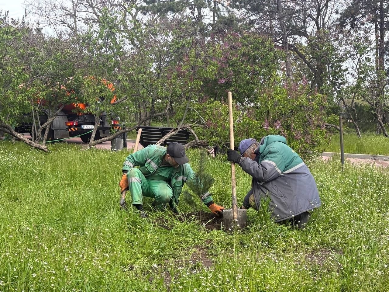#Дніпро_квітучий: на Монастирському острові висадили дерева - 25.04.2026