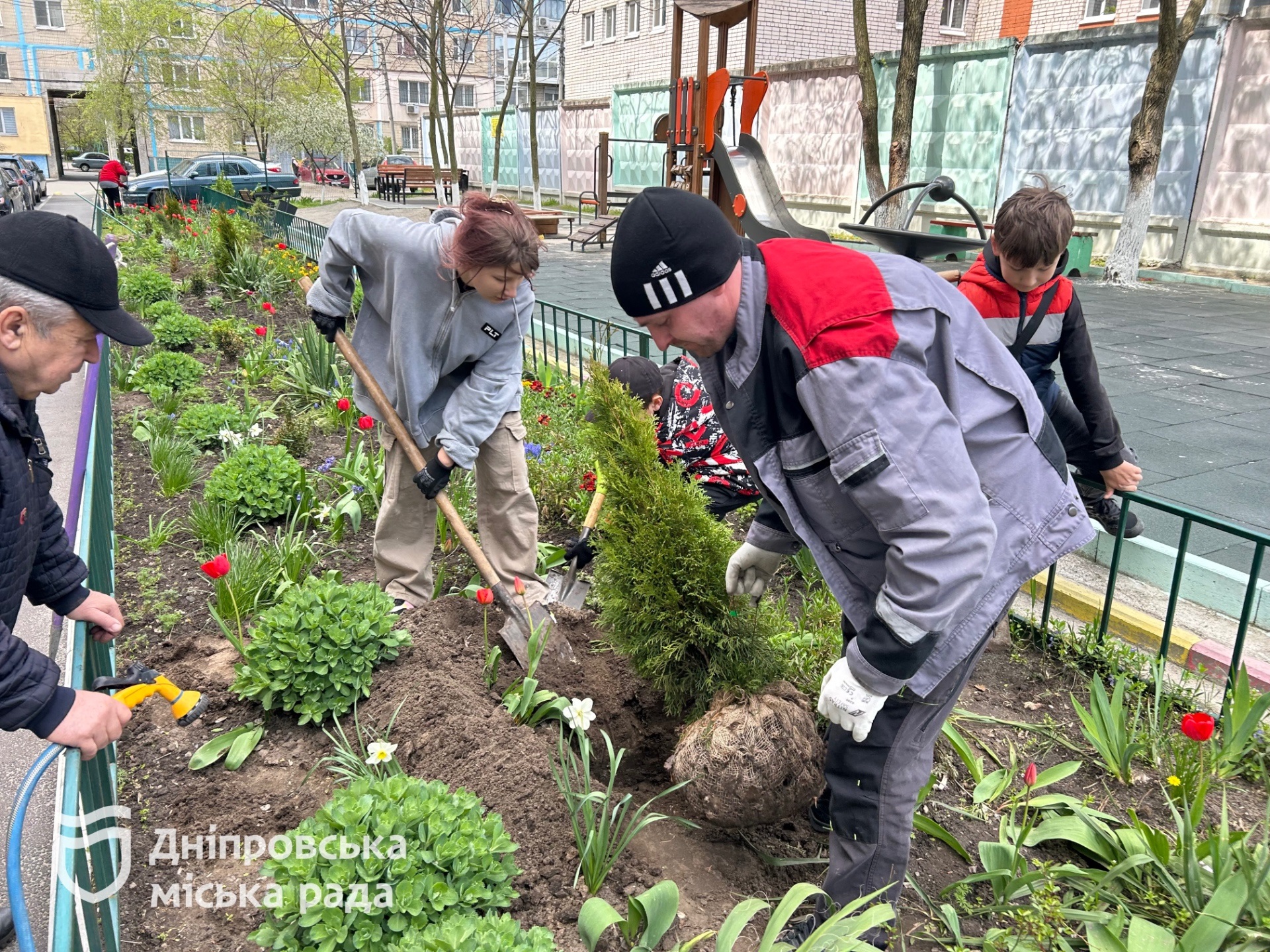 #Чистий_Дніпро: мешканці висадили понад 450 рослин у дворах міста - 26.04.2026