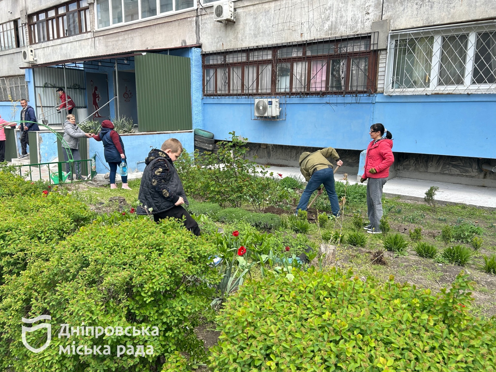 #Чистий_Дніпро: мешканці висадили понад 450 рослин у дворах міста - 26.04.2026
