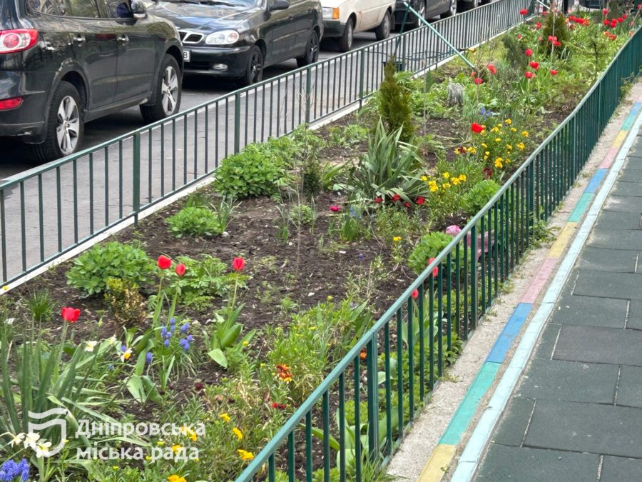 #Чистий_Дніпро: мешканці висадили понад 450 рослин у дворах міста - 26.04.2026