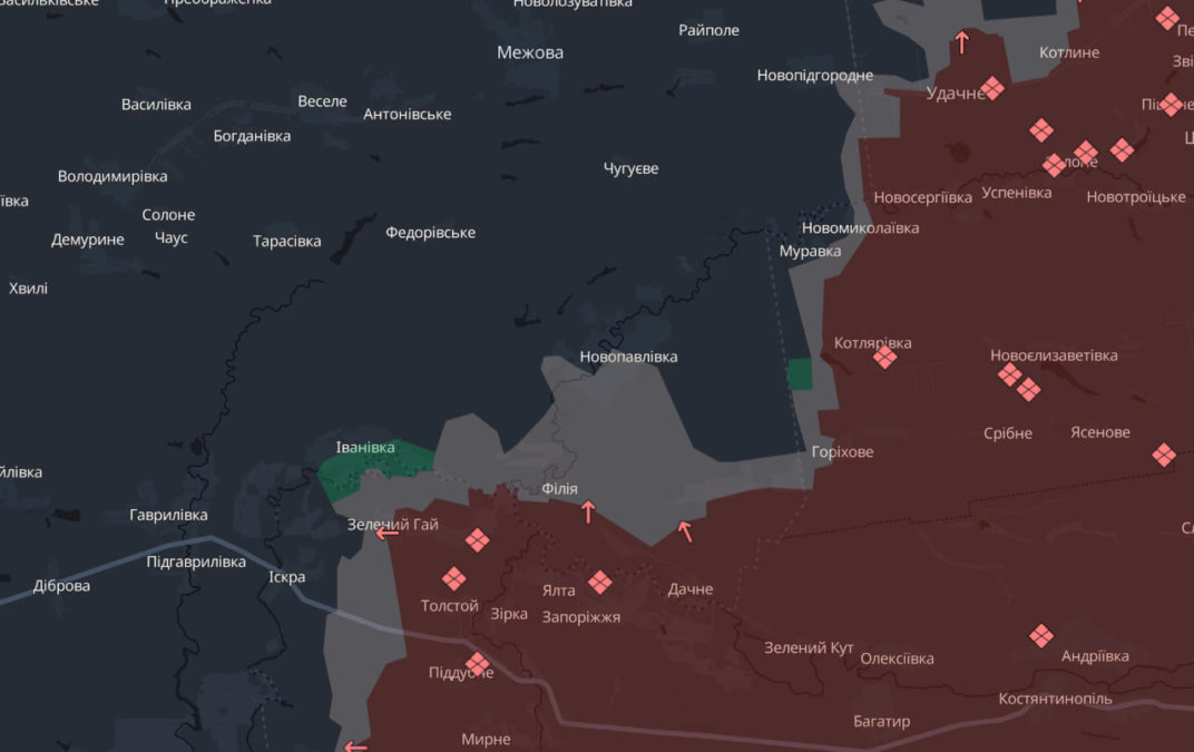 Дніпропетровська область: ЗСУ тримають ключову оборону в Новопавлівському лісі