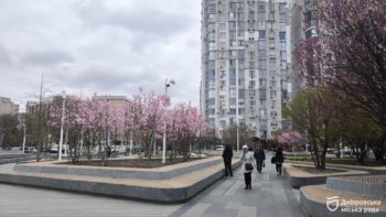 У парках та скверах Дніпра розквітли магнолії - 08.04.2026