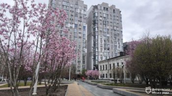 У парках та скверах Дніпра розквітли магнолії - 08.04.2026