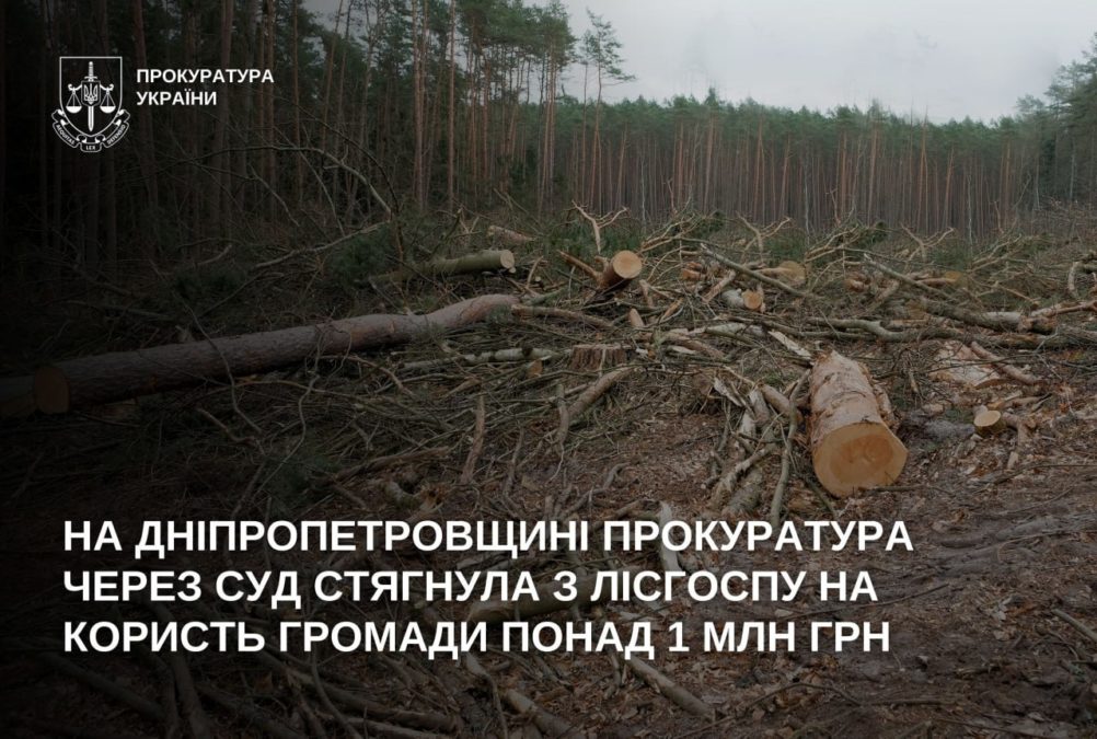 1 млн грн за вирубку лісу у ландшафтному парку «Дніпрові пороги» - 21.04.2026