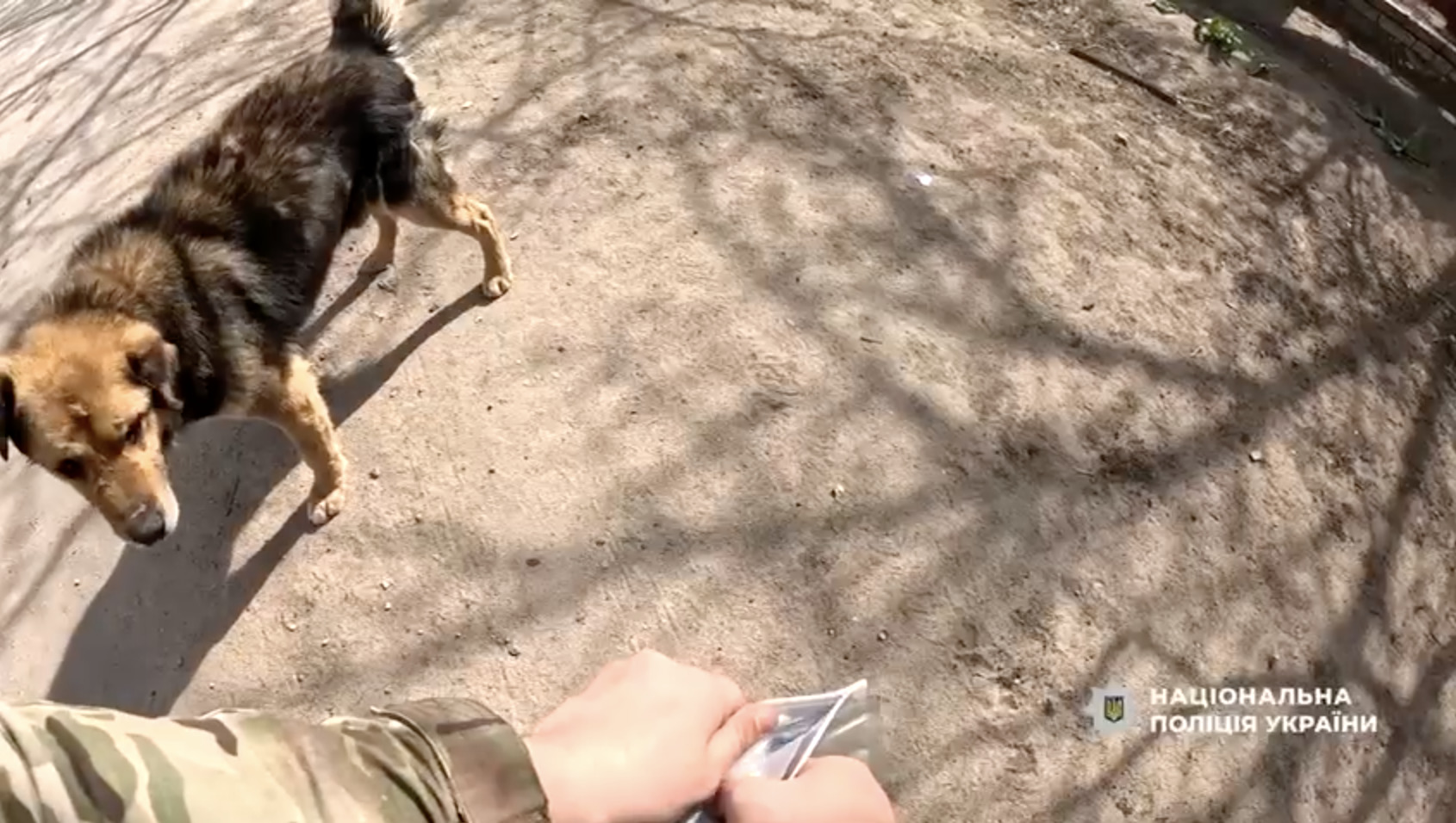 «Білий янгол» евакуює людей із прифронтових громад Синельниківщини - 13.04.2026