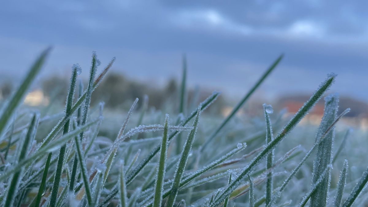 На Дніпропетровщині оголошено «жовтий» рівень небезпеки через заморозки - 20.04.2026