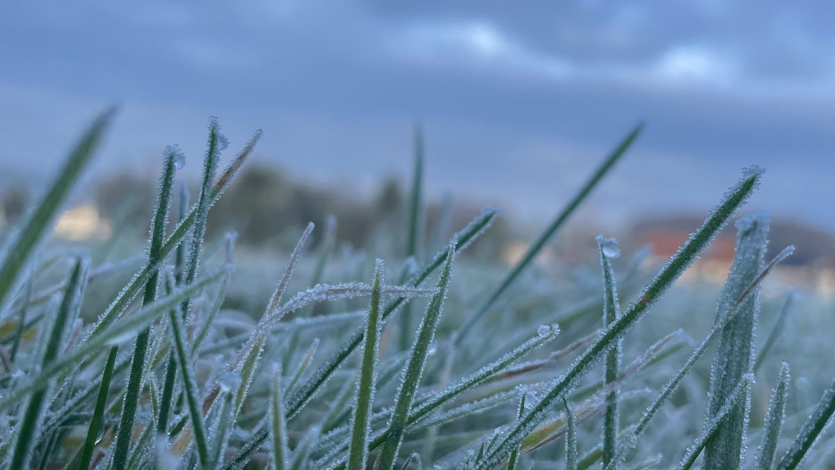 На Дніпропетровщині оголошено «жовтий» рівень небезпеки через заморозки - 20.04.2026