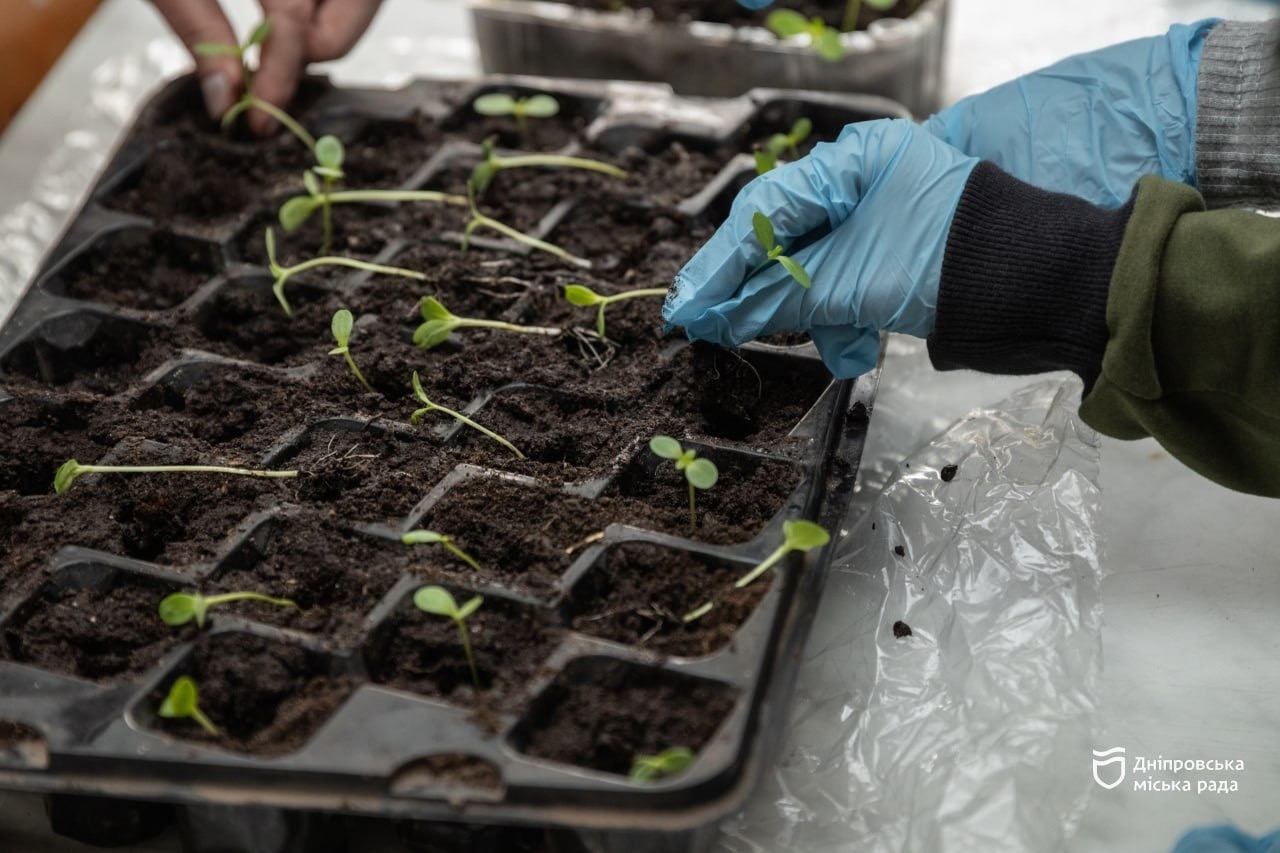 «Приємно, коли навколо чисто», юна дніпрянка про участь в акції #Чистий_Дніпро - 02.04.2026