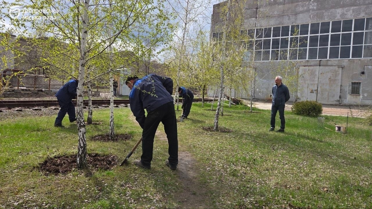 Березовий гай та фруктові дерева: як у метрополітені підтримали акцію #Чистий_Дніпро та #Дніпро_квітучий - 10.04.2026