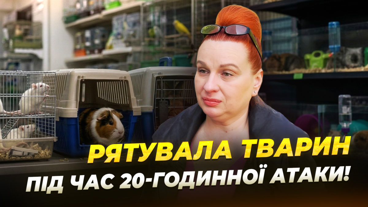 «Все навкруги було в руїнах»: як відновлюється зоомагазин і грумінг-салон після масованого удару - 05.05.2026