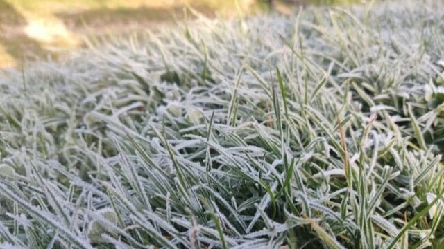 Травень дивує погодою: заморозки у Дніпрі та області