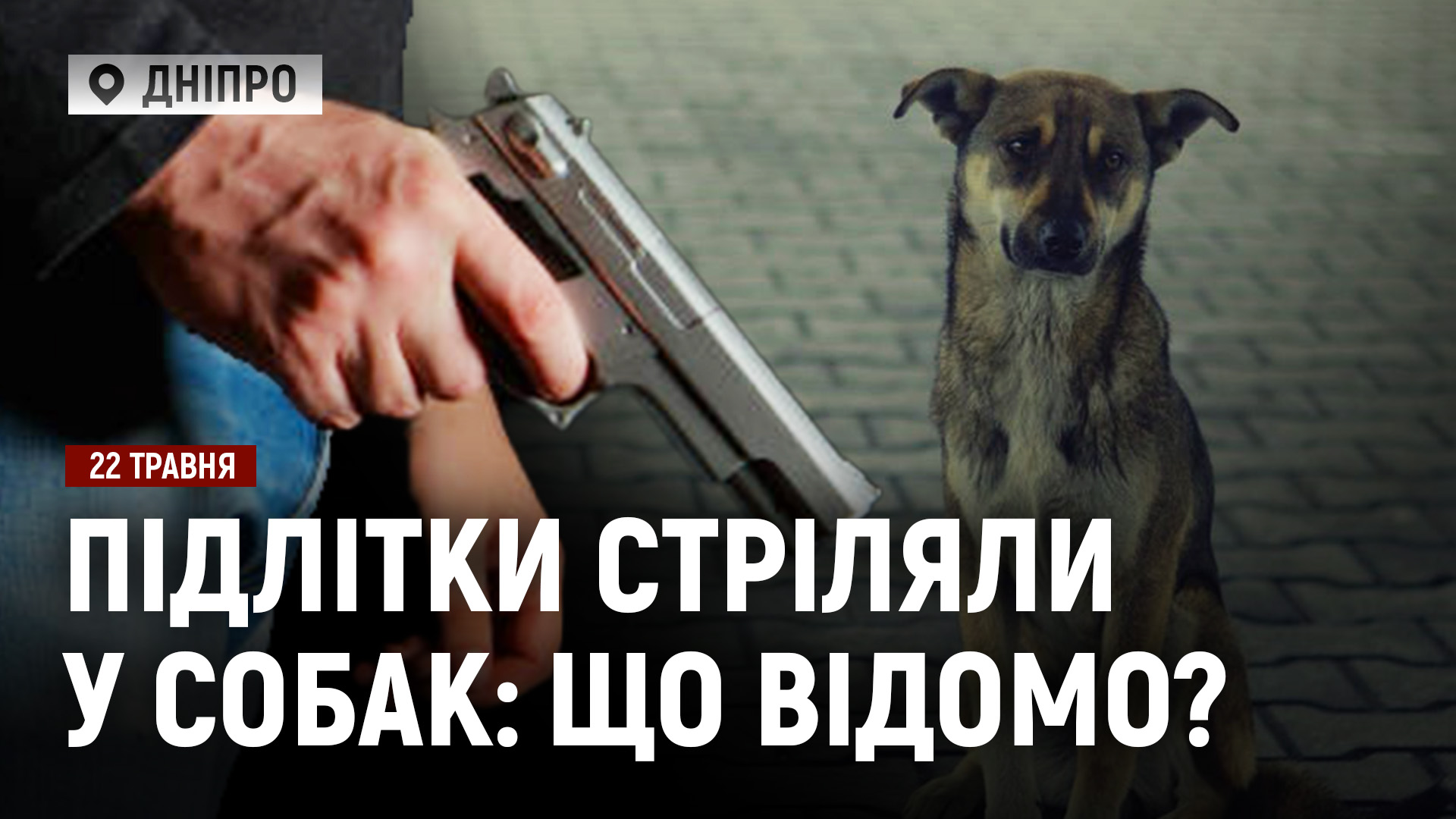 Відео дня