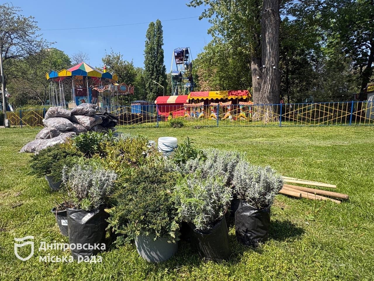 #Дніпро_квітучий. Гортензії, лаванда та ялівці. У парку Глоби висадили нову ландшафтну клумбу - 07.05.2026