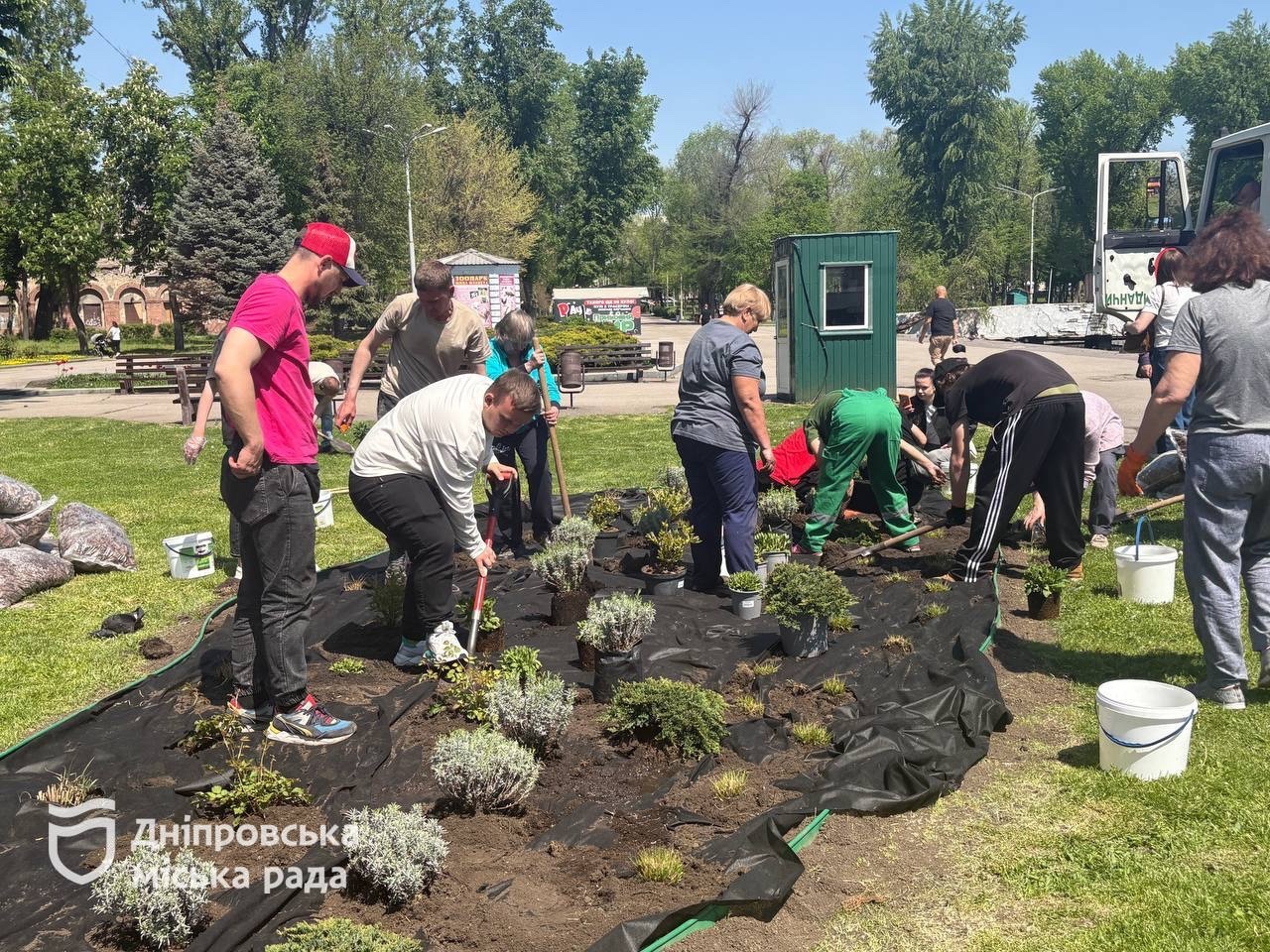 #Дніпро_квітучий. Гортензії, лаванда та ялівці. У парку Глоби висадили нову ландшафтну клумбу - 07.05.2026