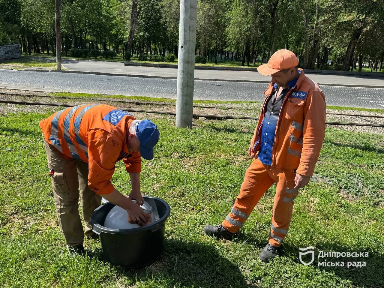 У Дніпрі оновлюють світильники на бульварах та алеях міста