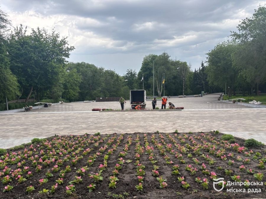 «Приємно бачити, що про містян дбають і роблять наше місто ще красивішим», — дніпрянки про висадку яскравих бегоній