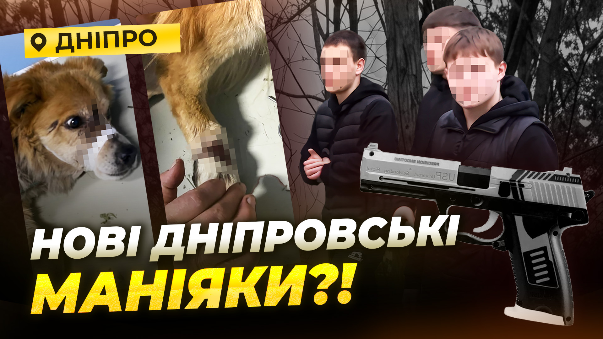 Підлітки стріляли по собаках у Дніпрі