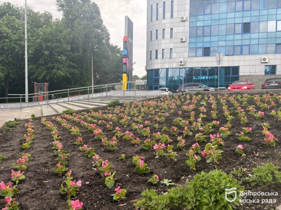 «Приємно бачити що про містян дбають і роблять наше місто ще красивішим» — дніпрянки про висадку яскравих бегоній