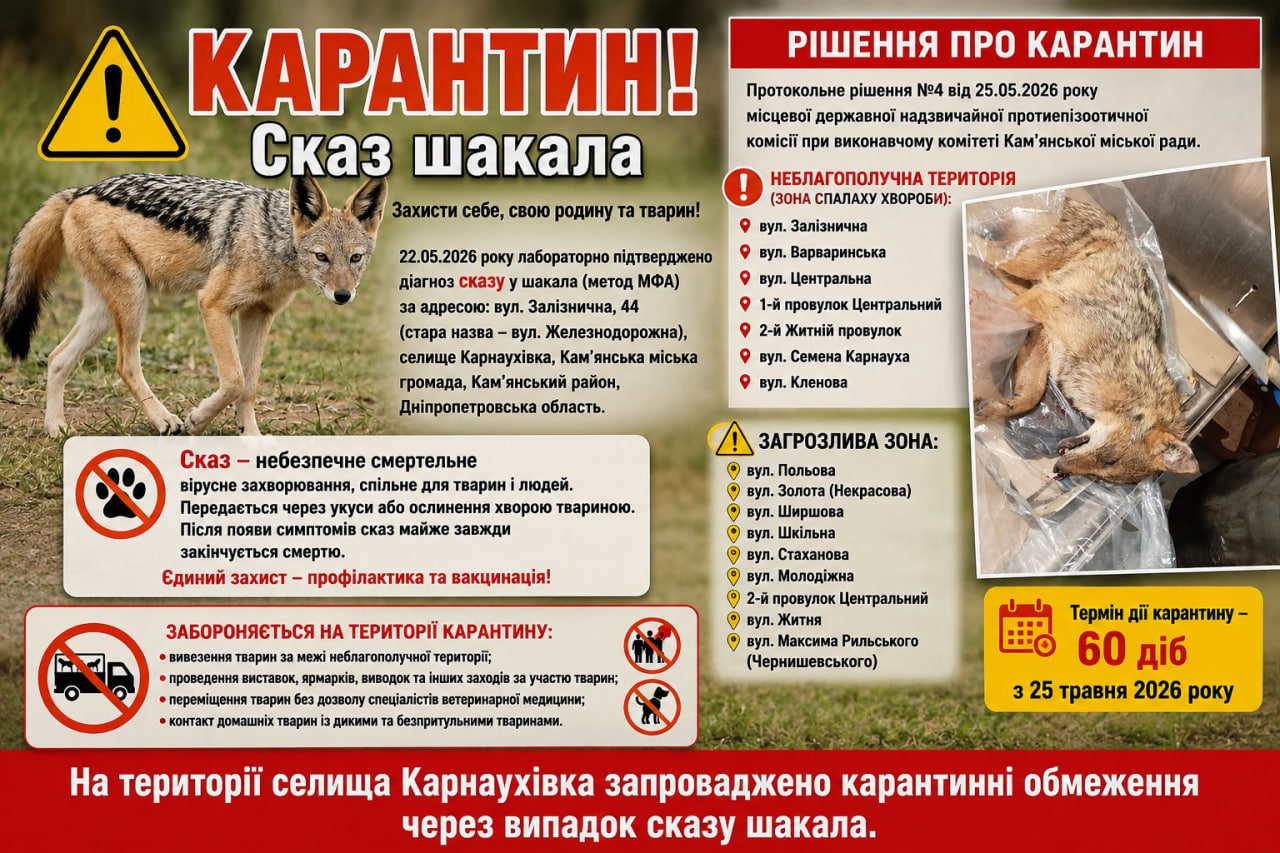 У Карнаухівці на Дніпропетровщині двоє людей постраждали через скаженого шакала