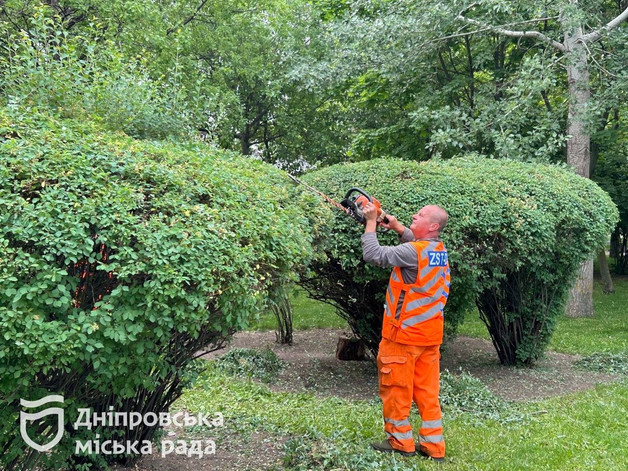 Завдяки системній роботі у Дніпрі зелені зони залишаються охайними та доглянутими