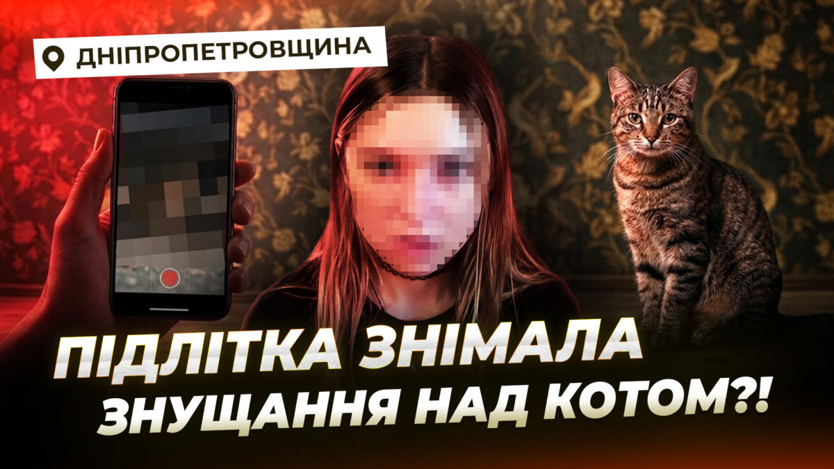 17-річна дівчина з Павлограду знімала на відео жорстоке поводження з котом: реакція поліції