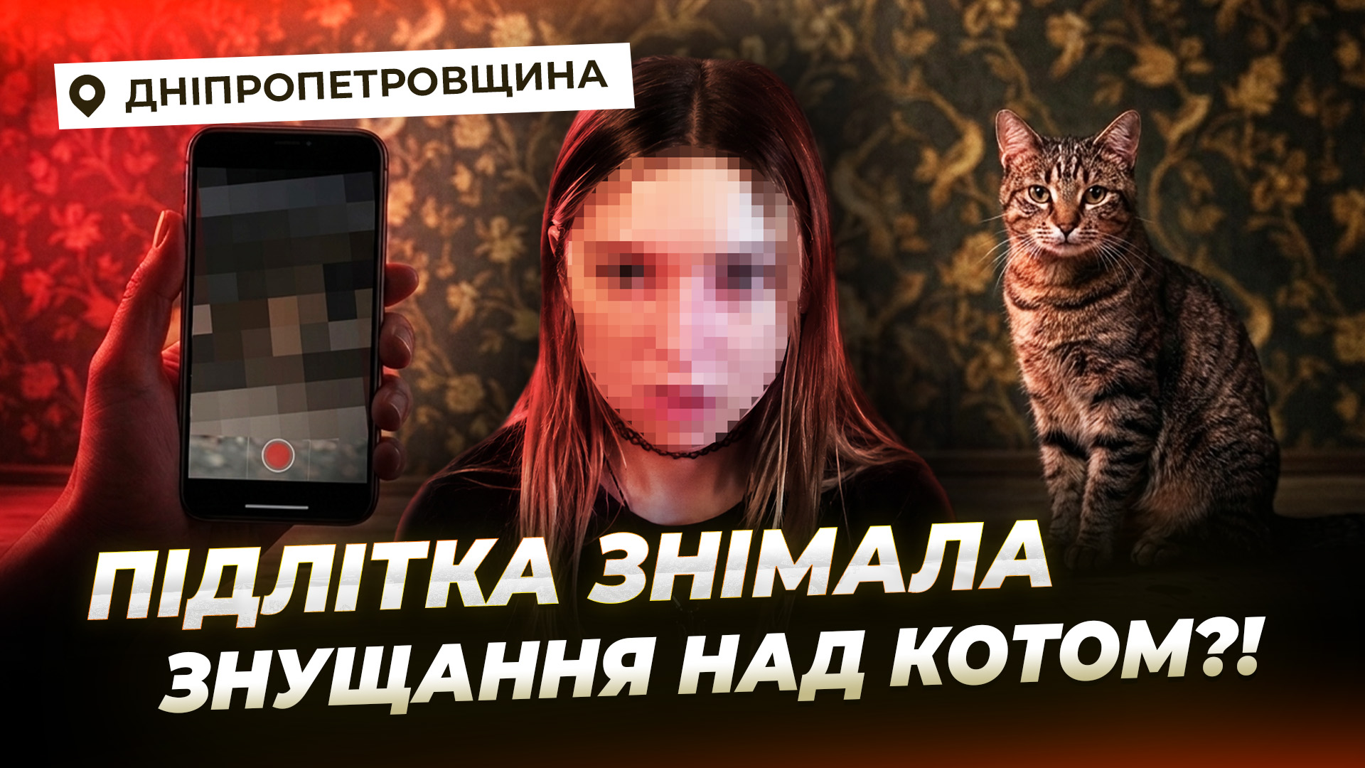 17-річна дівчина з Павлограду знімала на відео жорстоке поводження з котом: реакція поліції