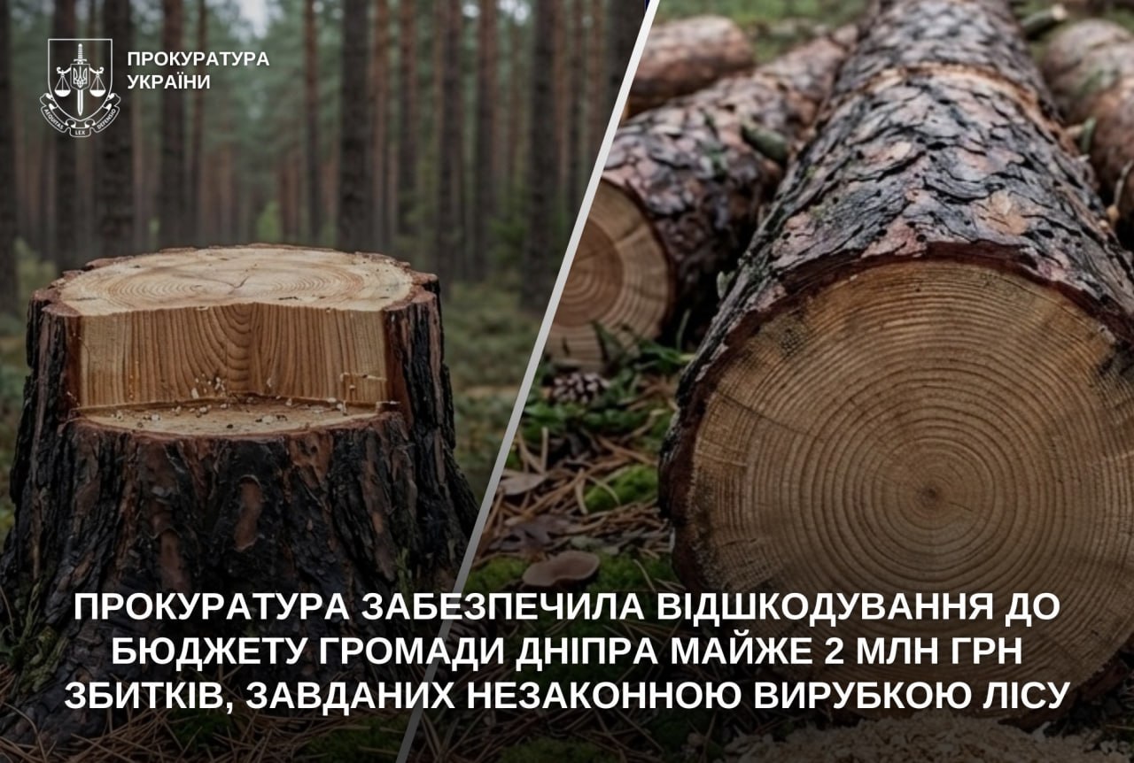 2 млн грн до бюджету Дніпра — відшкодування за незаконну вирубку лісу