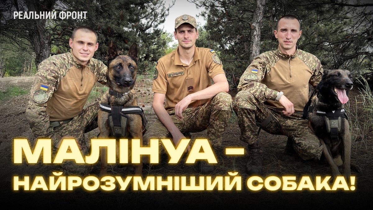 Кінологи Нацгвардії показали як тренують своїх службових псів Діка та Ассо