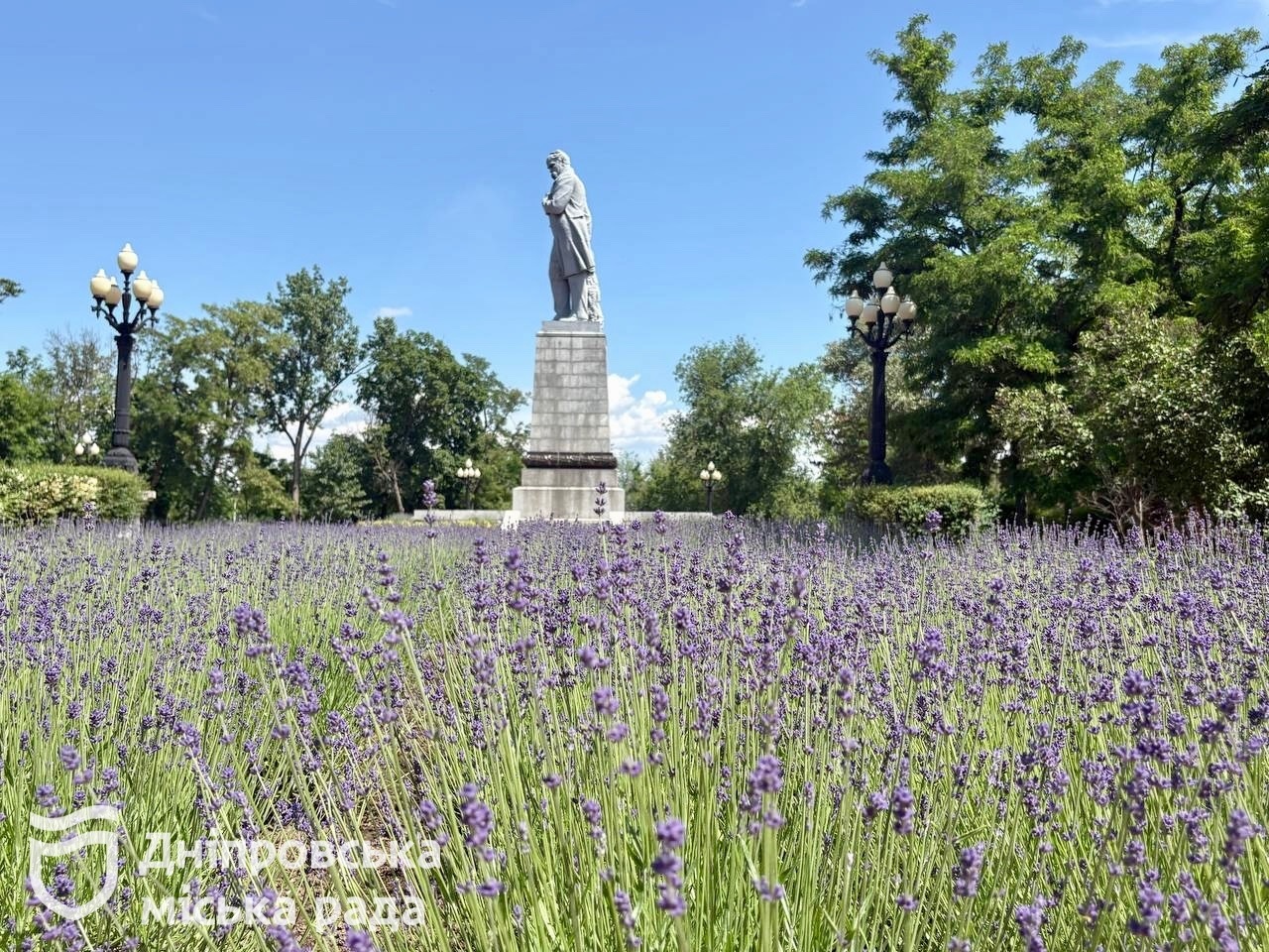 #Дніпро_квітучий: у міських парках розпочався пік цвітіння троянд і лаванди - 09.06.2026