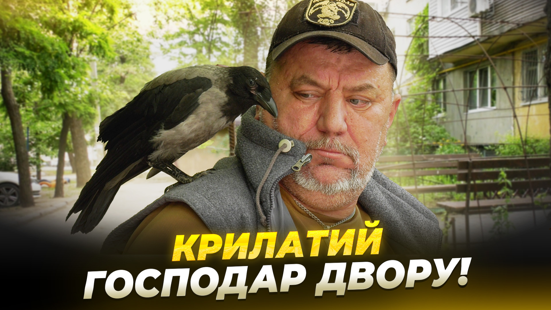 Ворон Жорік оселився у дворі багатоповерхівки Дніпра та став улюбленцем мешканців - 23.06.2026