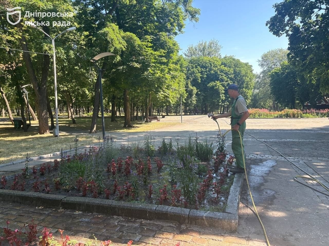 У Дніпрі через спеку посилили полив парків і скверів
