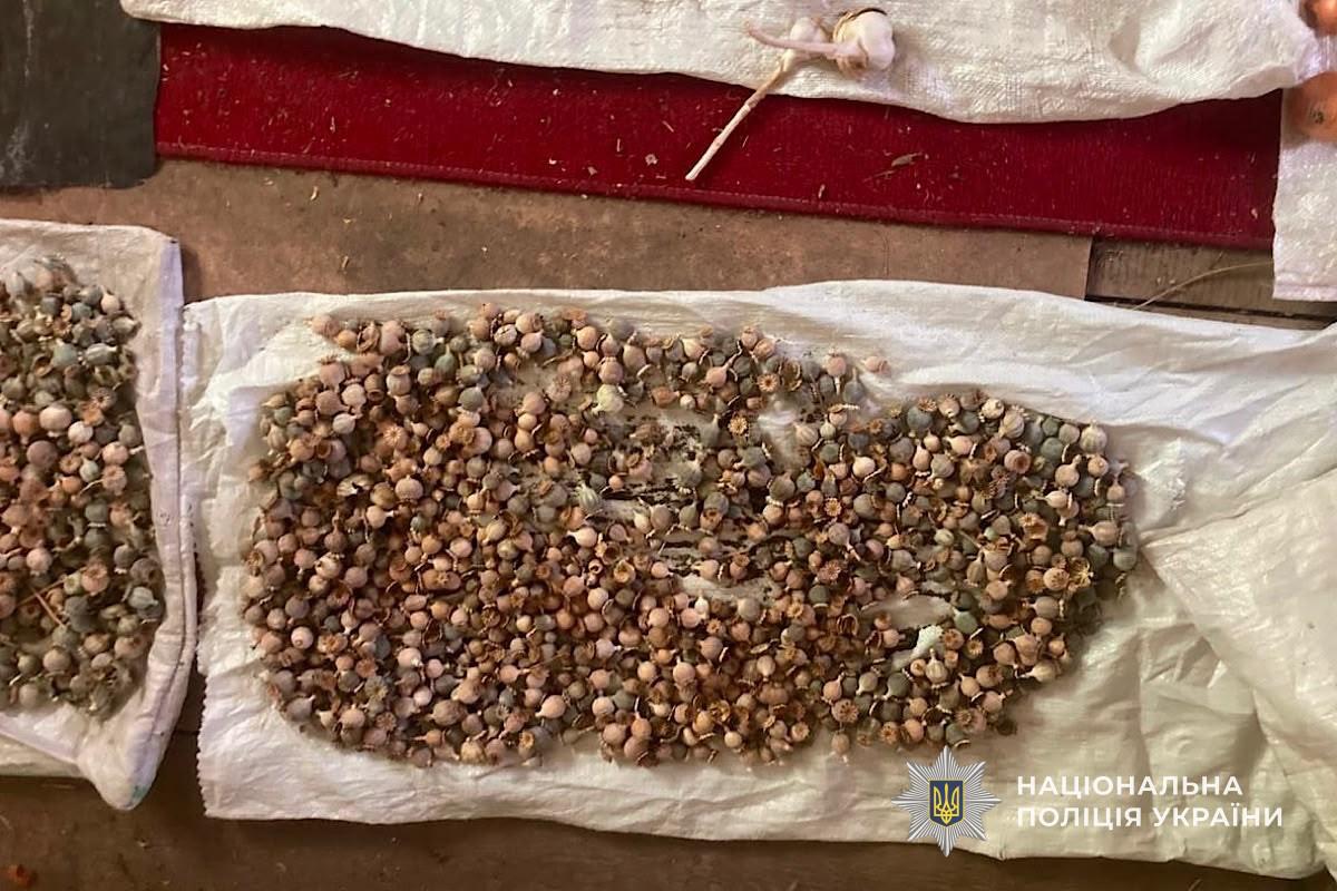 69-річного жителя Криворіжжя викрили на вирощуванні конопель і маку - 24.07.2026