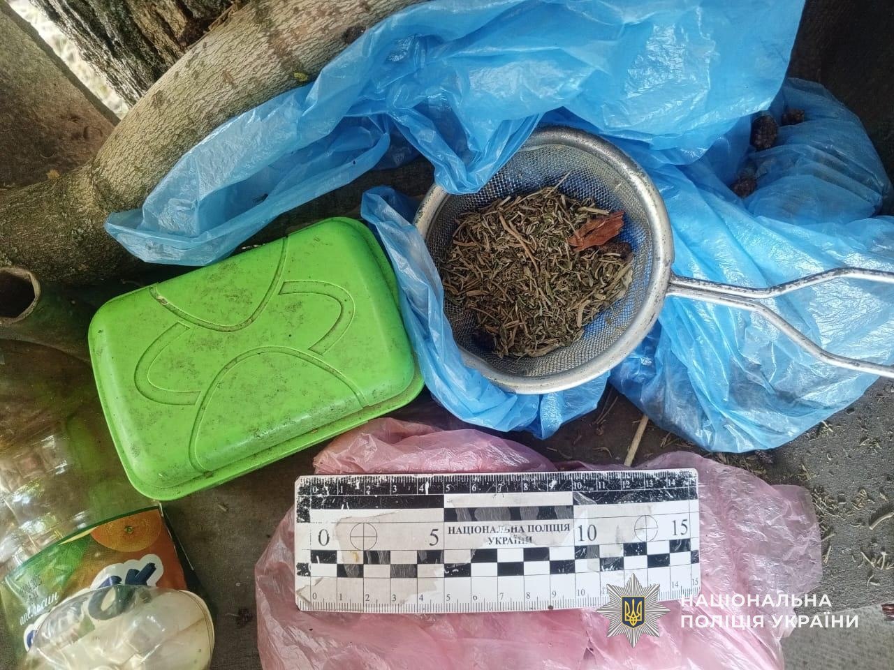 На Дніпропетровщині судитимуть двох чоловіків за незаконне вирощування конопель - 29.07.2026