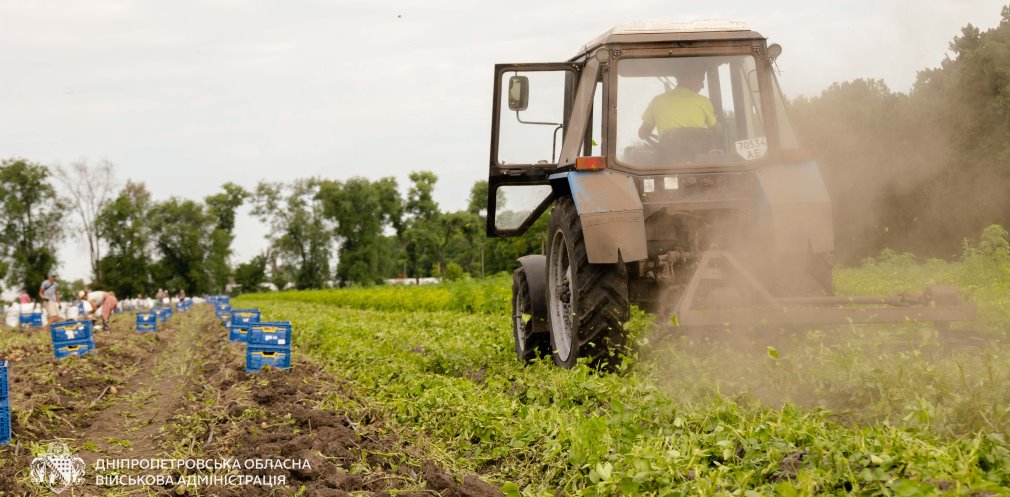 Аграрії Дніпропетровщини збирають врожай овочів - 07.07.2026