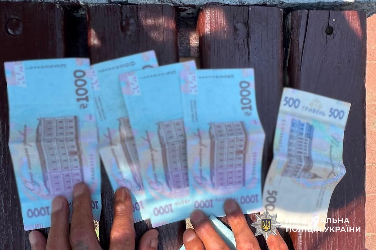 Вийшов із в'язниці й узявся за старе: на Дніпропетровщині викрили серійного крадія - 29.07.2026