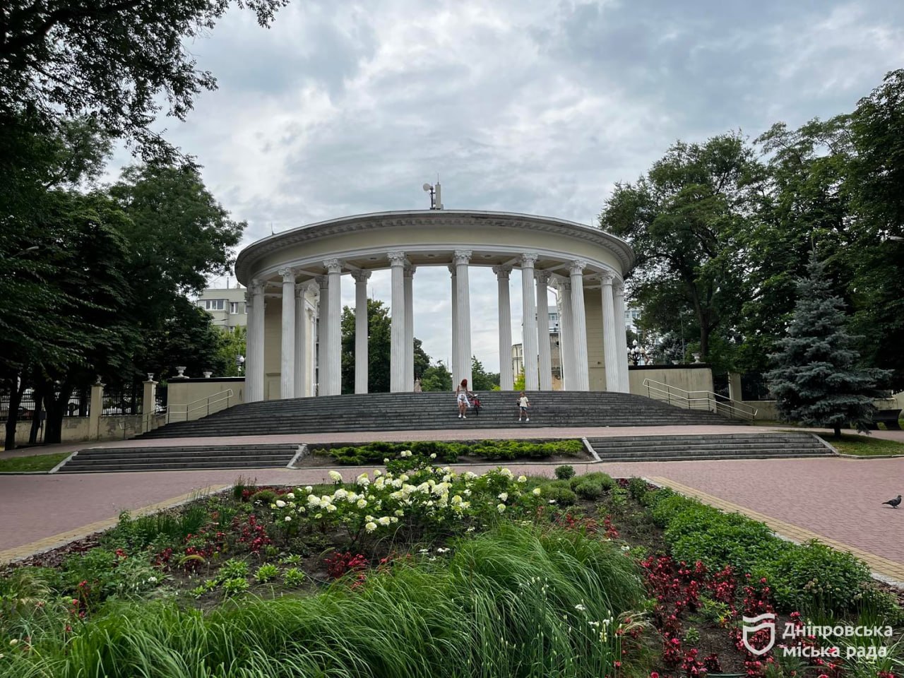 У Дніпрі розпочався пік цвітіння гортензій