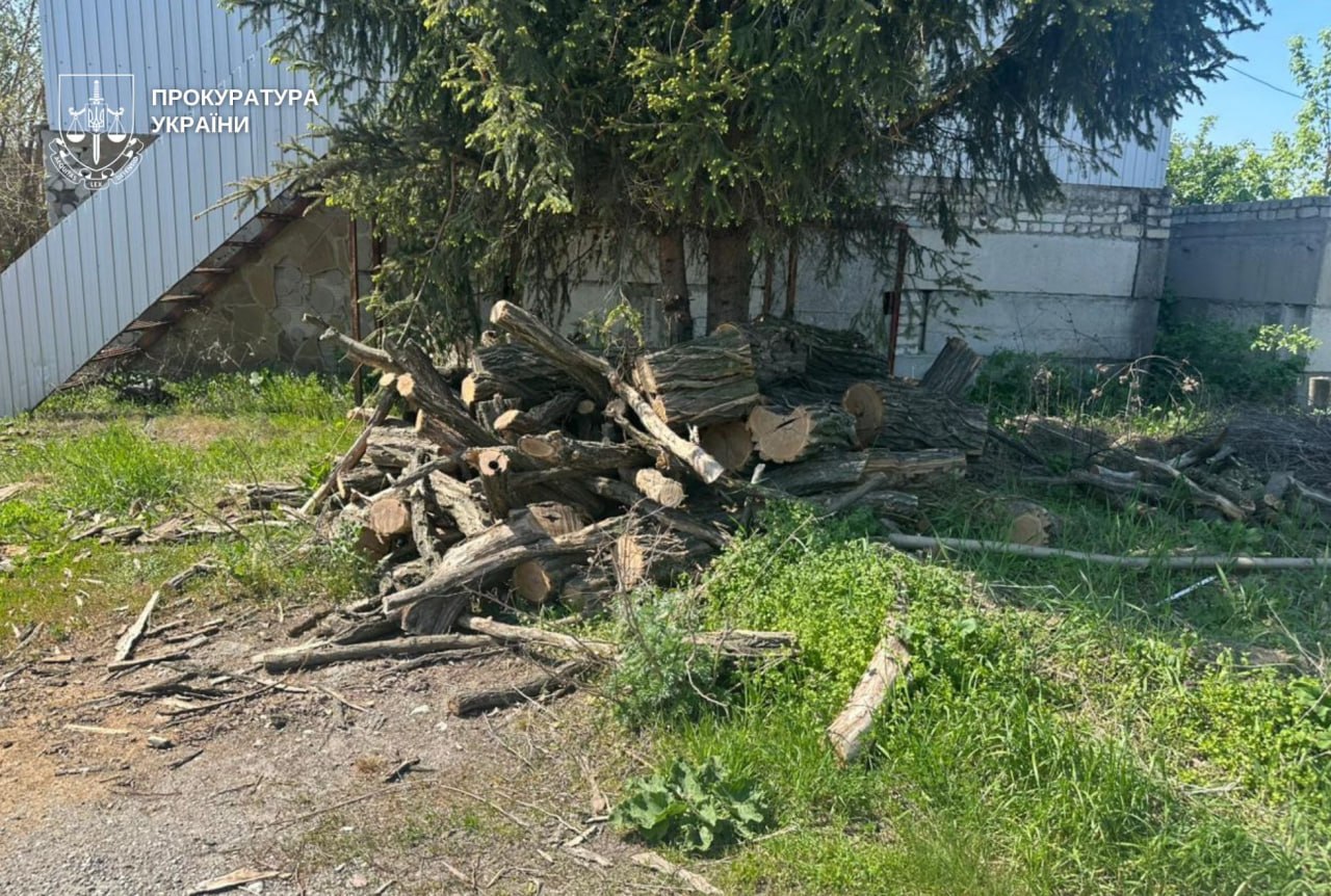 Незаконна вирубка лісу на майже 3 млн грн: на Дніпропетровщині судитимуть чотирьох учасників групи - 03.08.2026