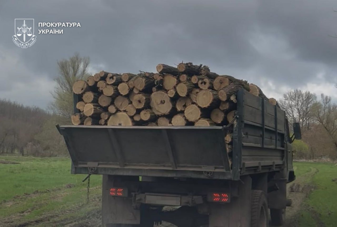 Незаконна вирубка лісу на майже 3 млн грн: на Дніпропетровщині судитимуть чотирьох учасників групи - 03.08.2026