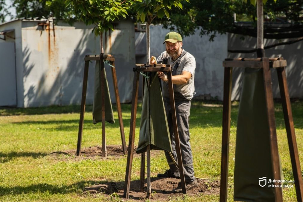 У парку Шевченка на молодих сакурах встановили 25 спеціальних мішків для поливу - 04.08.2026